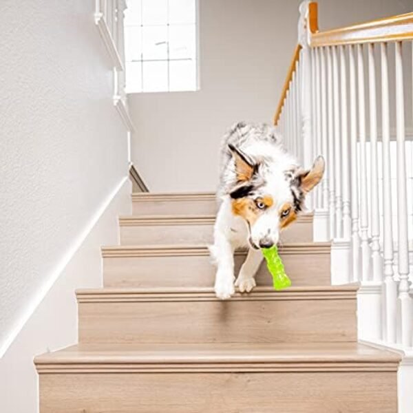 41Ue3ZjpD3L._AC_.jpg Hyper Pet Dura-Squeaks Stick Dog Toy - Durable and Interactive Medium-Sized Toy