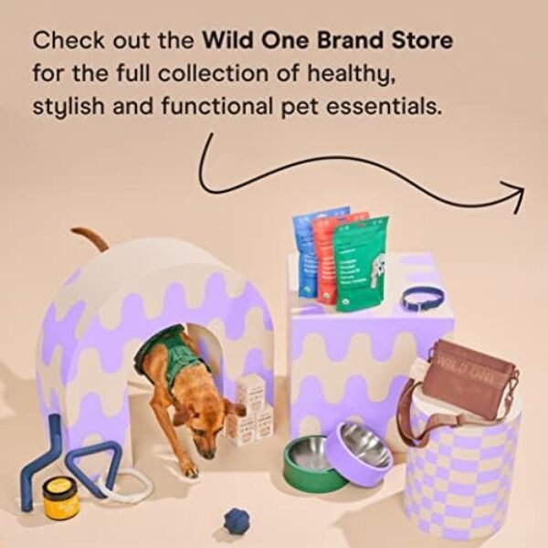 41n8rgx6eQL._AC_.jpg Wild One Flex Hip & Joint Supplements, Soft-Chews, Promote Mobility and Joint Health for Dogs, 60+ Day Supply