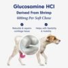 41nI7logML._AC_.jpg Petlab Co. Joint Care Chews - High Levels of Glucosamine for Dogs, Green Lipped Mussels, Omega 3 and Turmeric - Dog Hip and Joint Supplement to Actively Support Mobility - Packaging May Vary