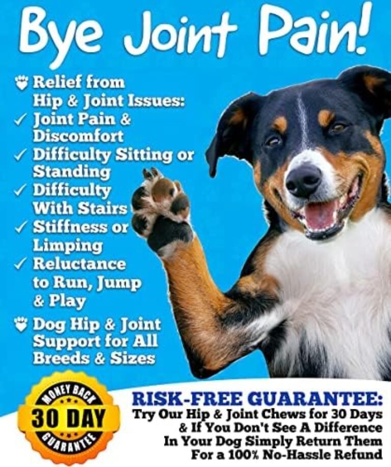 512Lrd8zsXL._AC_.jpg Premium Glucosamine Joint Supplement for Dogs - Made in USA | Buy Now