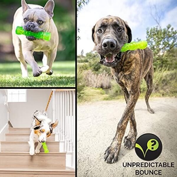 512X-U6Z-vL._AC_.jpg Hyper Pet Dura-Squeaks Stick Dog Toy - Durable and Interactive Medium-Sized Toy