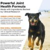 517dgFK4VPL._AC_.jpg PetHonesty Senior Hemp Mobility - Hip & Joint Support for Senior Dogs (90 Chews)
