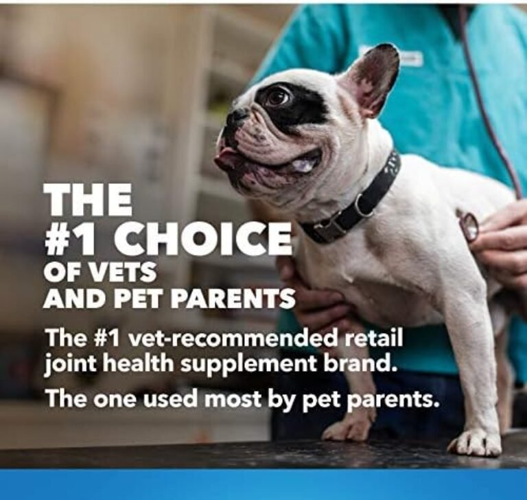 51Az7kUactL._AC_.jpg Nutramax Cosequin Maximum Strength Joint Health Supplement for Dogs