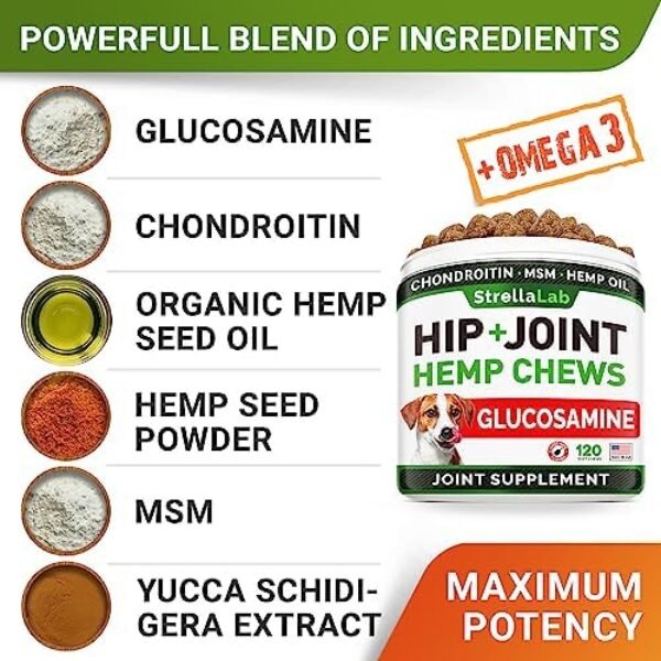 51EqmdIkUEL._AC_.jpg Hemp Treats - Glucosamine Dog Joint Supplement + Omega 3 - w/Hemp Oil - Chondroitin, MSM - Advanced Mobility Chews - Joint Pain Relief - Hip & Joint Care - Chicken Flavor - 120 Ct - Made in USA
