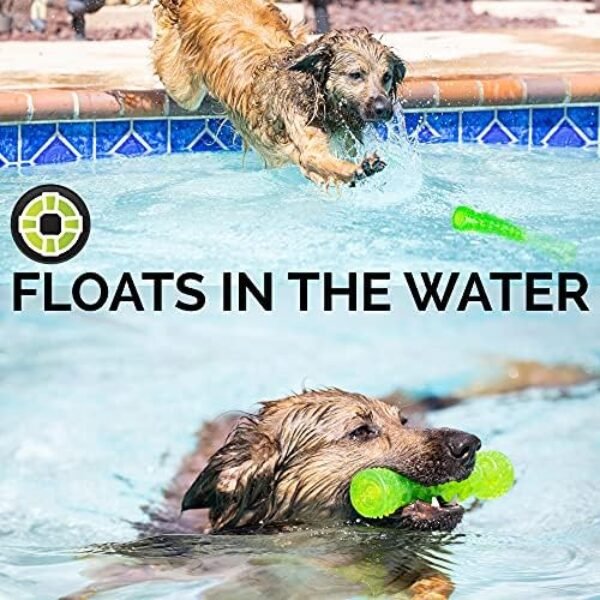 51JP1JsXHdL._AC_.jpg Hyper Pet Dura-Squeaks Stick Dog Toy - Durable and Interactive Medium-Sized Toy