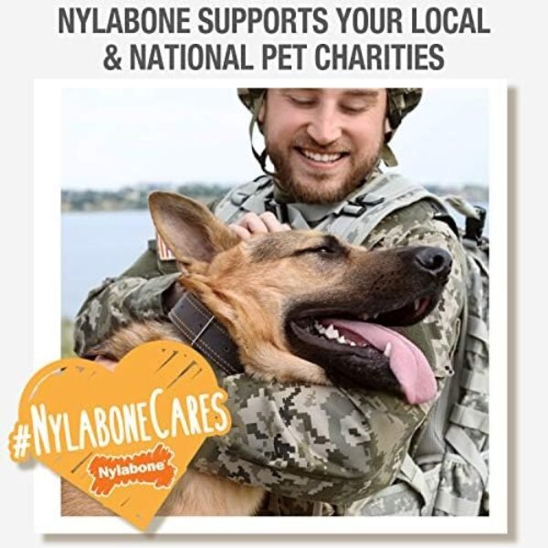 51NzA7e0WsL._AC_.jpg Nylabone Healthy Edibles All-Natural Long Lasting Bacon Flavor Chew Treats 1 Count Bacon Small/Regular