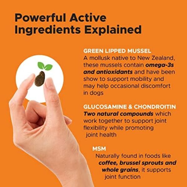 51Pg6wCjjrL._AC_.jpg PetHonesty Senior Hemp Mobility - Hip & Joint Support for Senior Dogs (90 Chews)