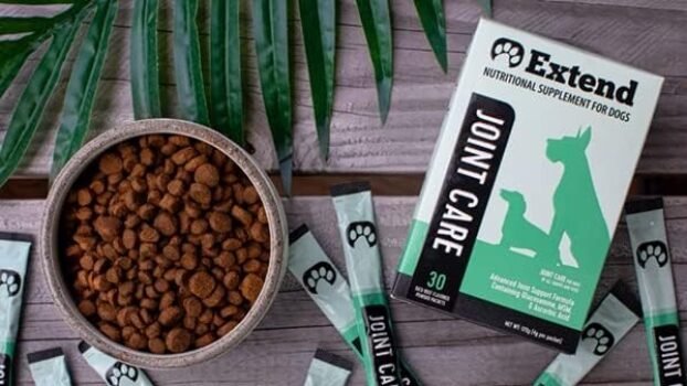 51gPM0Er2kL._AC_.jpg Extend Joint Care for Dogs - Support Your Dog's Mobility and Joint Health