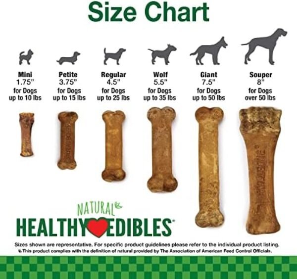 51oebINracL._AC_.jpg Nylabone Healthy Edibles All-Natural Long Lasting Bacon Flavor Chew Treats 1 Count Bacon Small/Regular