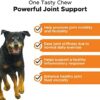 51ppvPCyIL._AC_.jpg PetHonesty Senior Hemp Mobility - Hip & Joint Support for Senior Dogs (90 Chews)