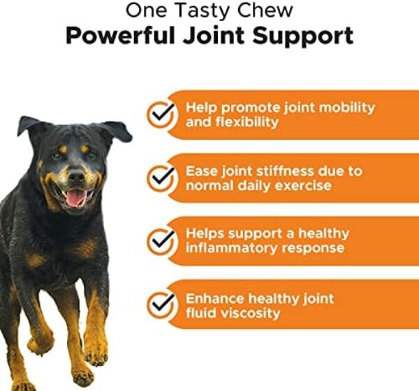 51ppvPCyIL._AC_.jpg PetHonesty Senior Hemp Mobility - Hip & Joint Support for Senior Dogs (90 Chews)