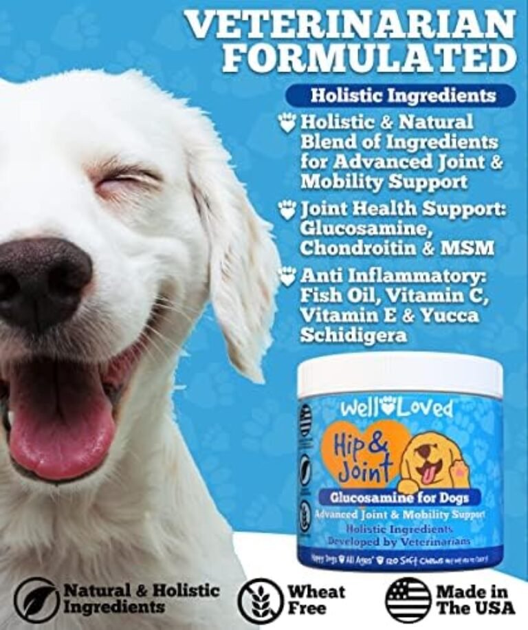 51vrCIDHPsL._AC_.jpg Premium Glucosamine Joint Supplement for Dogs - Made in USA | Buy Now