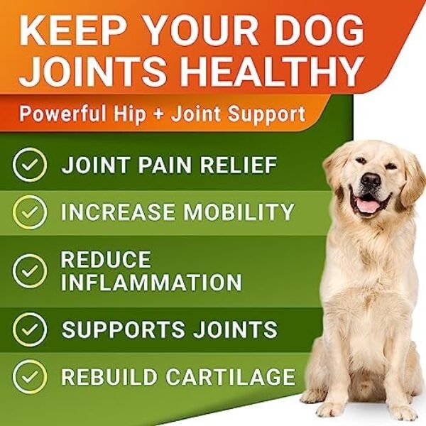 51wj3ozsbrL._AC_.jpg Hemp Treats - Glucosamine Dog Joint Supplement + Omega 3 - w/Hemp Oil - Chondroitin, MSM - Advanced Mobility Chews - Joint Pain Relief - Hip & Joint Care - Chicken Flavor - 120 Ct - Made in USA