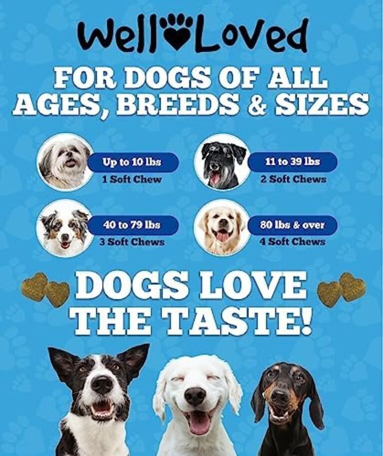 51xhtRkvd0L._AC_.jpg Premium Glucosamine Joint Supplement for Dogs - Made in USA | Buy Now