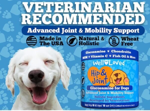 61jT7rvQPtL._AC_.jpg Premium Glucosamine Joint Supplement for Dogs - Made in USA | Buy Now