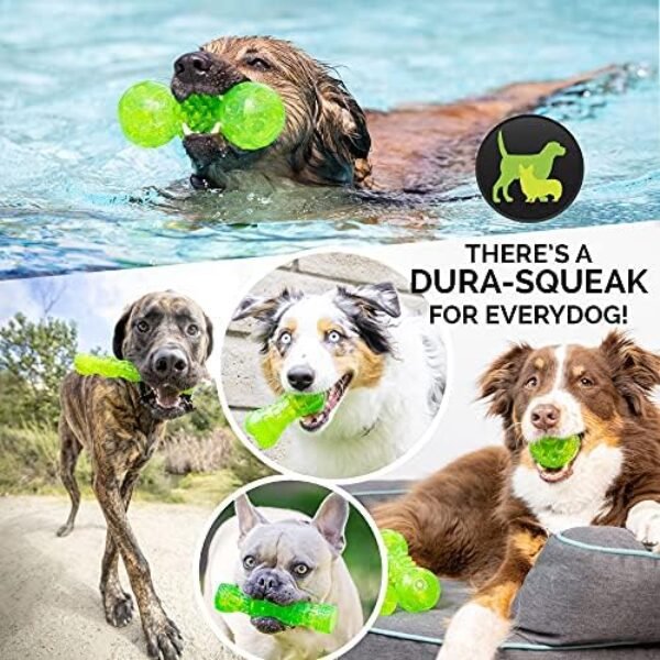 61kcbZiFbBL._AC_.jpg Hyper Pet Dura-Squeaks Stick Dog Toy - Durable and Interactive Medium-Sized Toy