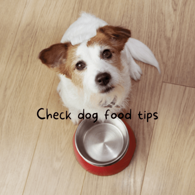 Barky Supplies Expert Tips Choosing the Right Dog Food: Essential Tips and Methods Find out how to analyze and evaluate your dog food effectively. Get valuable insights and make informed choices for your furry friend.