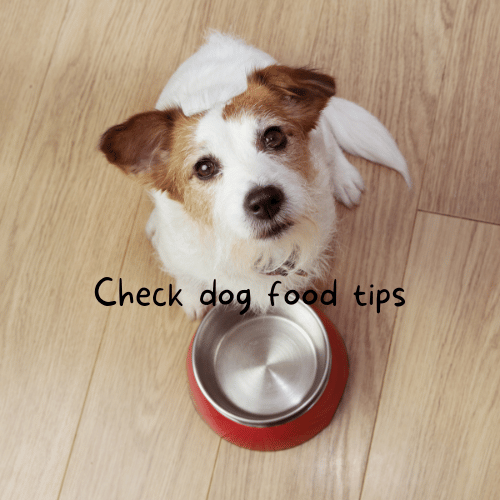 Find out how to analyze and evaluate your dog food effectively. Get valuable insights and make informed choices for your furry friend.