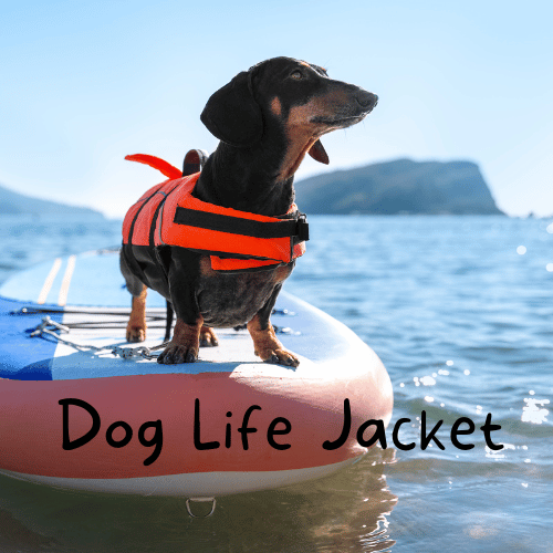 Dog Life Jacket | Why Your Dog Needs a Life Jacket This Summer