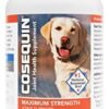 Nutramax Cosequin Maximum Strength Joint Health Supplement for Dogs - dog supplements for joints