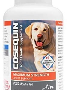 dog supplements for joints