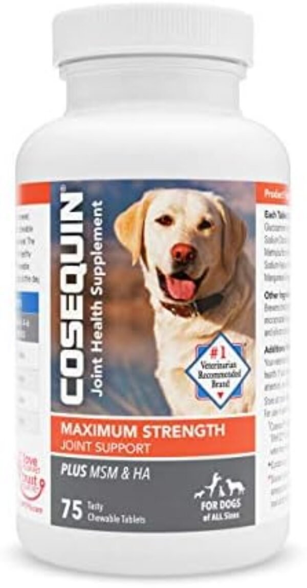 Nutramax Cosequin Maximum Strength Joint Health Supplement for Dogs - dog supplements for joints