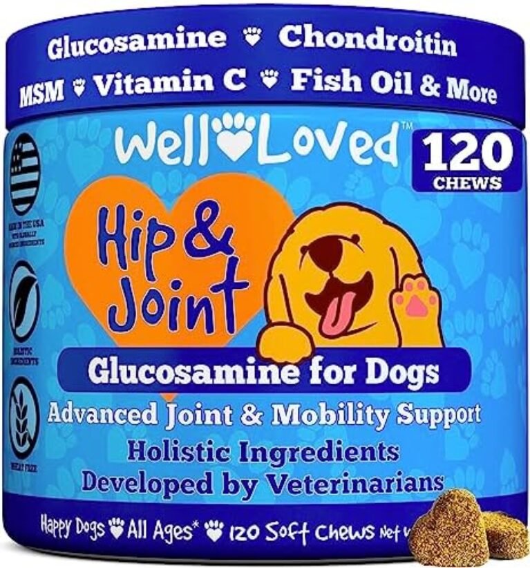 Well Loved Glucosamine for Dogs - Joint Supplement for Dogs, dog supplements for joints
