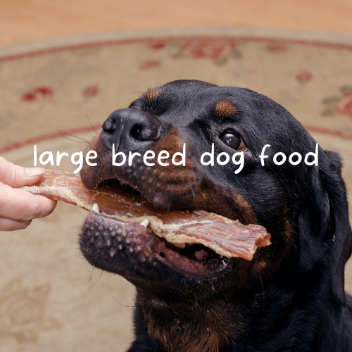 The Ultimate Guide to Choosing the Best Large Breed Dog Food