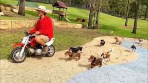 1692583027 maxresdefault Barky Supplies Expert Tips