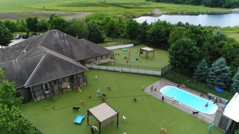 Barky Supplies Expert Tips Top Dog Country Club Tour: Luxury Pet Retreat Revealed 1692655299 maxresdefault Barky Supplies Expert Tips