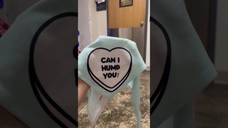 Barky Supplies Expert Tips Dog Daycare Fun: Bandana Makeovers with Ripley and Rue! 1692727541 maxresdefault Barky Supplies Expert Tips