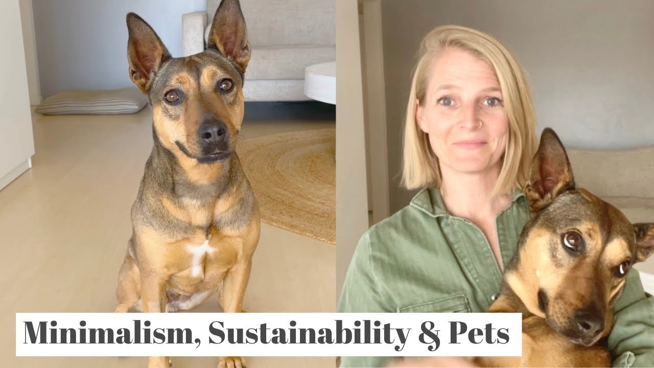 Unleash Eco-Friendly Love: Sustainable Dog Care Tips