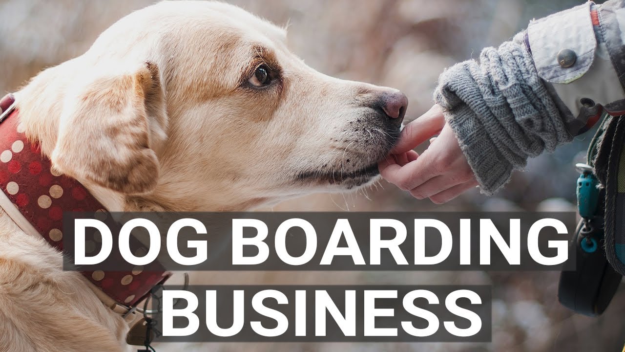 Start It Up | How To Start A Dog Boarding Centre | Entrepreneur India