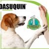418QCWVGoxL._AC_.jpg Nutramax Dasuquin Joint Health Supplement for Large Dogs - With Glucosamine, Chondroitin, ASU, Boswellia Serrata Extract, Green Tea Extract, 150 Chewable Tablets