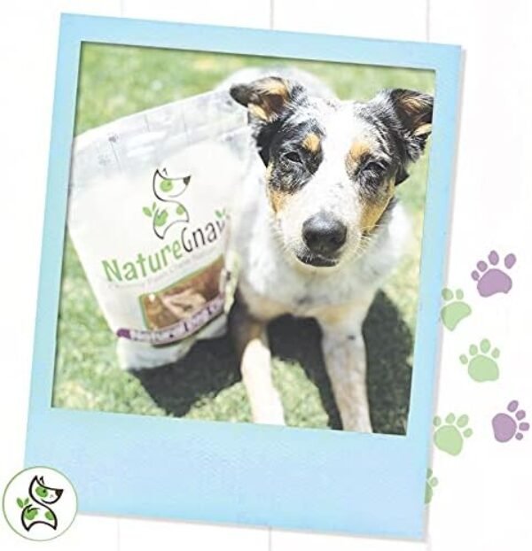 418eVI2YRS._AC_.jpg Nature Gnaws Variety Pack of Dog Chews and Bully Sticks - Long Lasting Gnaw Treats Bag for Puppies and Active Dogs - Natural and Rawhide Free Bones