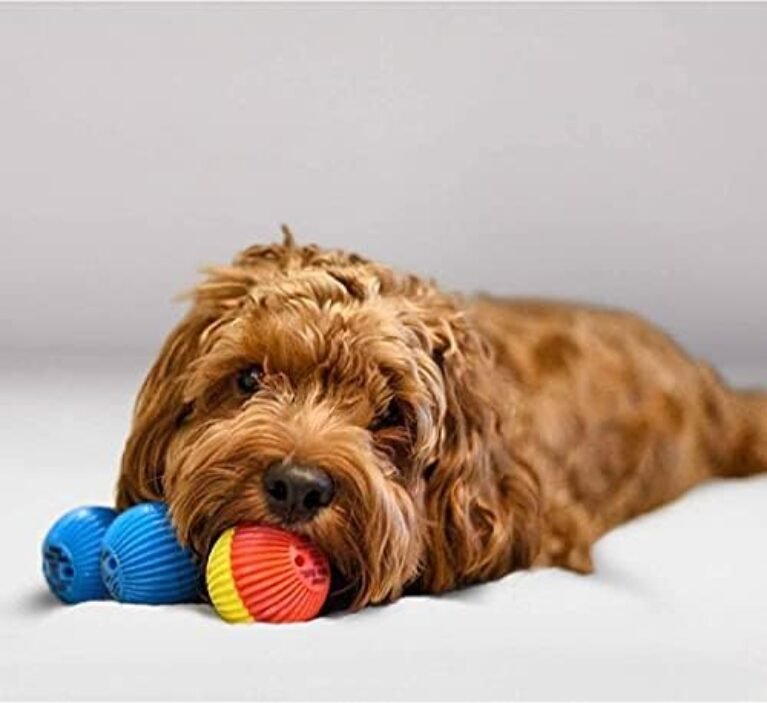 41KMPH7Q5oS._AC_.jpg Pet Qwerks Talking Babble Ball - Interactive Chew Dog Toy - Small
