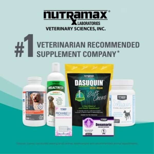 41mxTC2JPWL._AC_.jpg Nutramax Dasuquin Joint Health Supplement for Large Dogs - With Glucosamine, Chondroitin, ASU, Boswellia Serrata Extract, Green Tea Extract, 150 Chewable Tablets