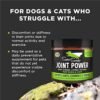510yIPucNL._AC_.jpg Super Snouts Joint Power 100% Green Lipped Mussels for Dogs & Cats Health- Dog Joint Supplement Powder Support Joints, Tendons, Ligaments (5.29 oz)