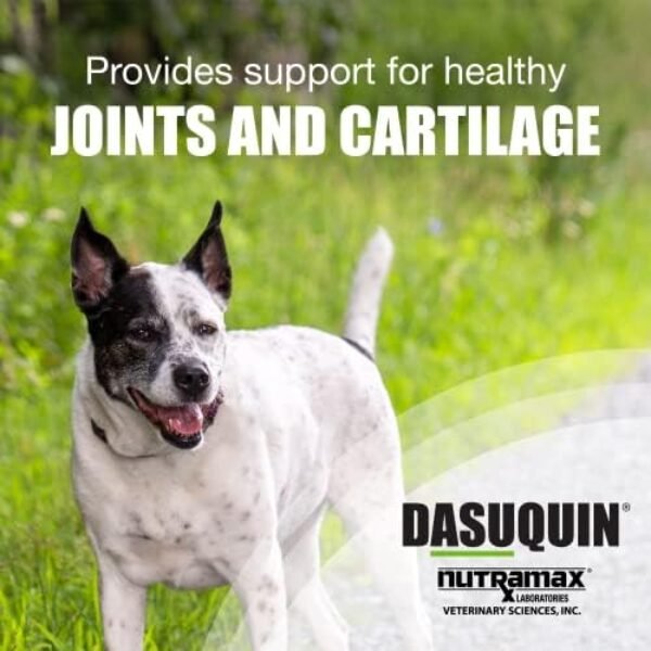 512fJdI5Q-L._AC_.jpg Nutramax Dasuquin Joint Health Supplement for Large Dogs - With Glucosamine, Chondroitin, ASU, Boswellia Serrata Extract, Green Tea Extract, 150 Chewable Tablets