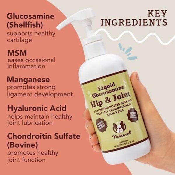 515PRqnWEtL._AC_.jpg Natural Dog Company Liquid Glucosamine Hip & Joint Oil for Dogs (16 oz) Extra Strength Cartilage and Joint Support , Helps Mobility and Eases Occasional Stiffness, Dog Supplement for All Breeds and Ages, Senior Dog Supplements, Dog Vitamins and Supplements