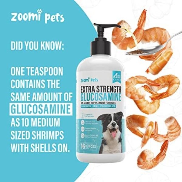 515dTAC8sPL._AC_.jpg Zoomi Pets Liquid Glucosamine for Dogs (16oz) - Hip and Joint Supplement with Hyaluronic Acid, MSM, Manganese & Glucosamine Chondroitin for Dogs - Dog Joint Supplement Large Breed, Medium & Small Dogs