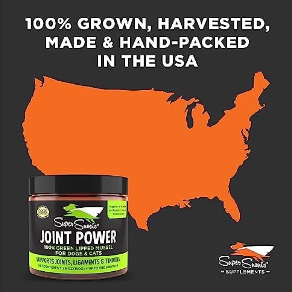 51Px9NF629L._AC_.jpg Super Snouts Joint Power 100% Green Lipped Mussels for Dogs & Cats Health- Dog Joint Supplement Powder Support Joints, Tendons, Ligaments (5.29 oz)