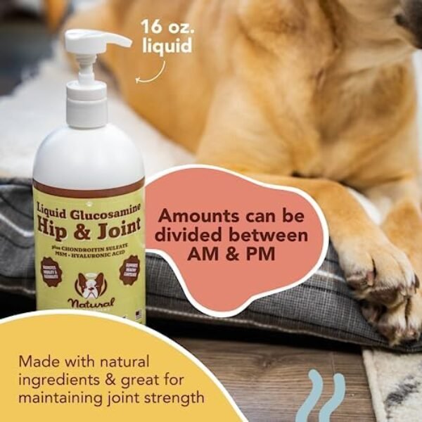 51a7qTwLMWL._AC_.jpg Natural Dog Company Liquid Glucosamine Hip & Joint Oil for Dogs (16 oz) Extra Strength Cartilage and Joint Support , Helps Mobility and Eases Occasional Stiffness, Dog Supplement for All Breeds and Ages, Senior Dog Supplements, Dog Vitamins and Supplements
