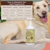 51d8t4lx0lL._AC_.jpg Natural Dog Company Liquid Glucosamine Hip & Joint Oil for Dogs (16 oz) Extra Strength Cartilage and Joint Support , Helps Mobility and Eases Occasional Stiffness, Dog Supplement for All Breeds and Ages, Senior Dog Supplements, Dog Vitamins and Supplements