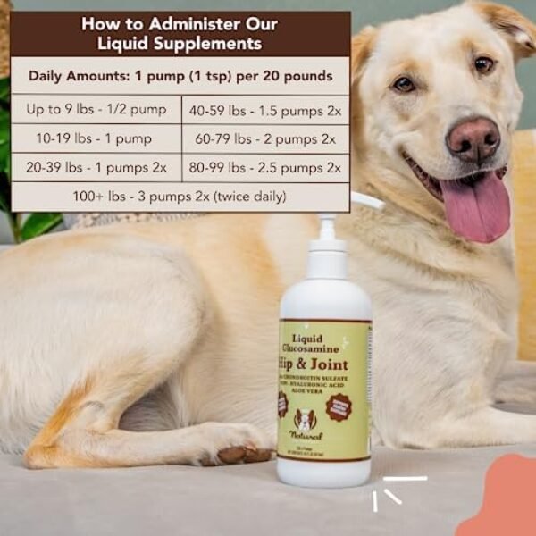 51d8t4lx0lL._AC_.jpg Natural Dog Company Liquid Glucosamine Hip & Joint Oil for Dogs (16 oz) Extra Strength Cartilage and Joint Support , Helps Mobility and Eases Occasional Stiffness, Dog Supplement for All Breeds and Ages, Senior Dog Supplements, Dog Vitamins and Supplements