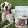 51ezeRBC9NL._AC_.jpg Nature Gnaws Variety Pack of Dog Chews and Bully Sticks - Long Lasting Gnaw Treats Bag for Puppies and Active Dogs - Natural and Rawhide Free Bones
