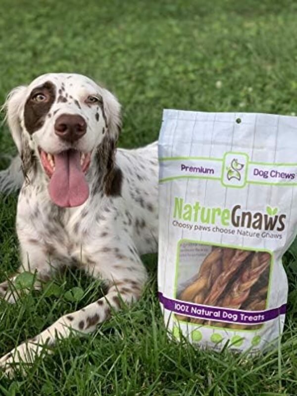51ezeRBC9NL._AC_.jpg Nature Gnaws Variety Pack of Dog Chews and Bully Sticks - Long Lasting Gnaw Treats Bag for Puppies and Active Dogs - Natural and Rawhide Free Bones