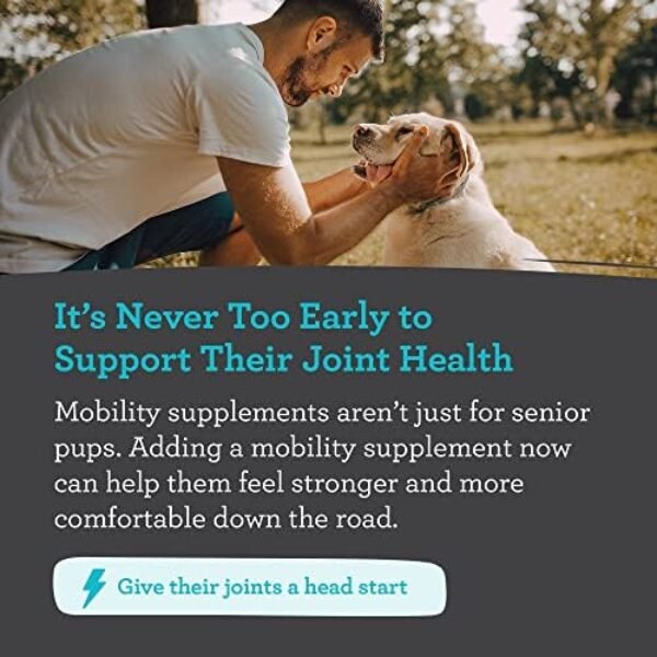 51s3U-45ubL._AC_.jpg Hip & Joint Supplement for Dogs, 33% More 120 Soft Mobility Chews Glucosamine Chondroitin, Collagen, Turmeric, Hyaluronic Acid, Flaxseed, Vitamin C & E, for Small & Large Breeds, Vet Recommended