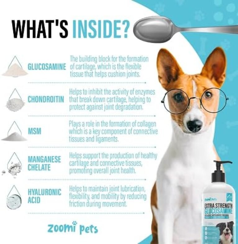 51sQQyHUjbL._AC_.jpg Zoomi Pets Liquid Glucosamine for Dogs (16oz) - Hip and Joint Supplement with Hyaluronic Acid, MSM, Manganese & Glucosamine Chondroitin for Dogs - Dog Joint Supplement Large Breed, Medium & Small Dogs