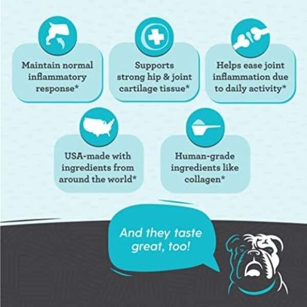 51vRYm9tCPL._AC_.jpg Hip & Joint Supplement for Dogs, 33% More 120 Soft Mobility Chews Glucosamine Chondroitin, Collagen, Turmeric, Hyaluronic Acid, Flaxseed, Vitamin C & E, for Small & Large Breeds, Vet Recommended